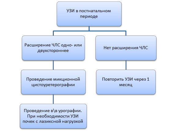 Схема алгоритма обследования при расширении ЧЛС